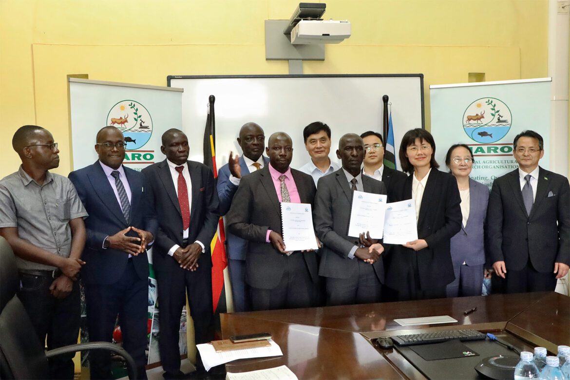 NARO partners with Chinese academy to boost premium tea production