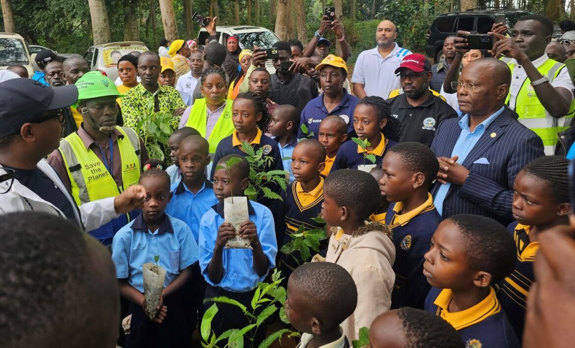 SPITTING VENOM: Uproar over Kitubulu forest give away land bonanza