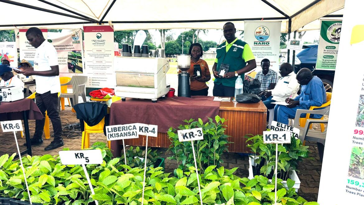 Northern Uganda farmers urged to embrace research-driven technologies