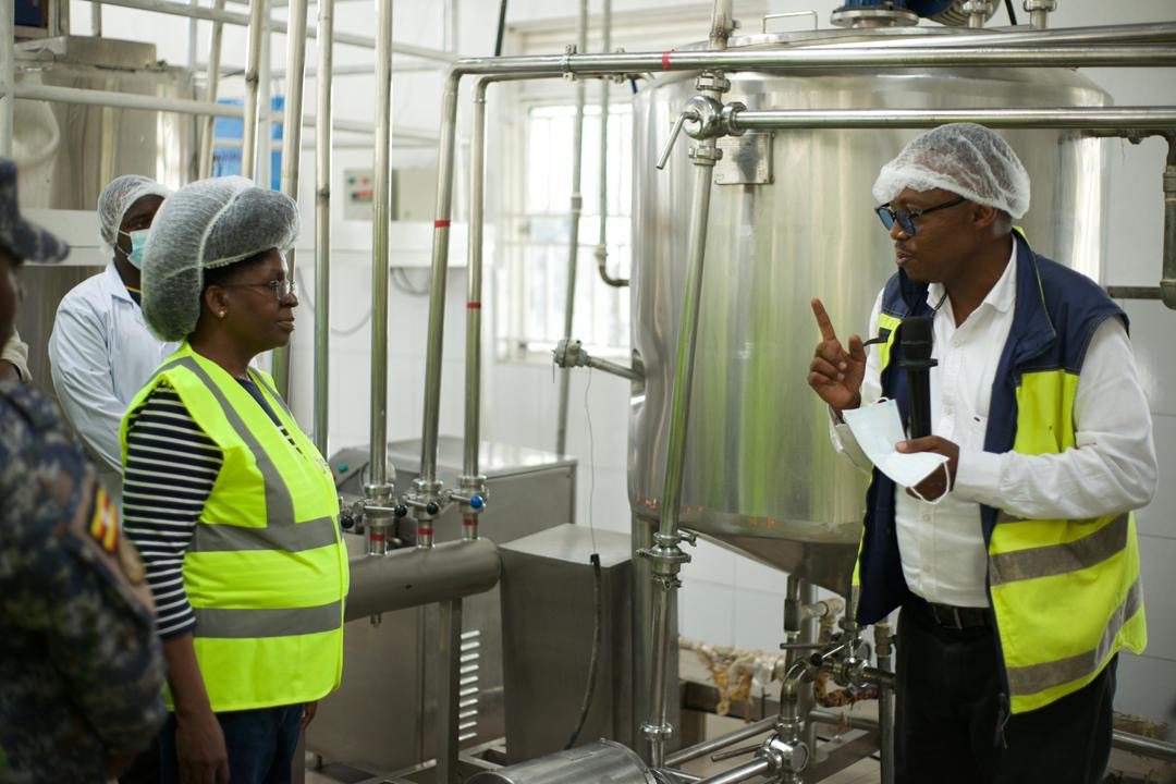 Katebe Farm transformation showcases practical power of science and innovation in Uganda’s dairy sector