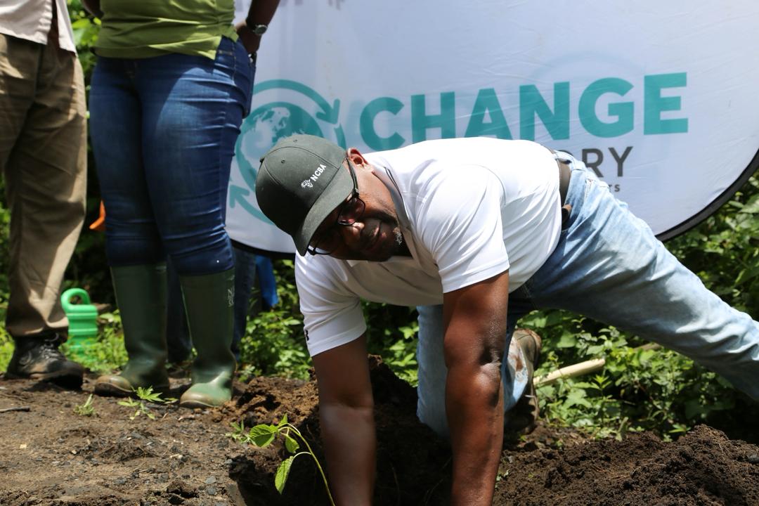 NCBA Bank Uganda, NFA plant 20,000 trees in Namananga Forest Reserve