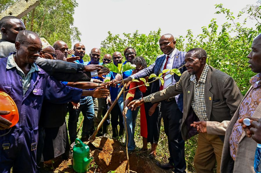 Stanbic Bank oversees Masaka’s Manwa forest restoration in UGX150m drive for ROOTS