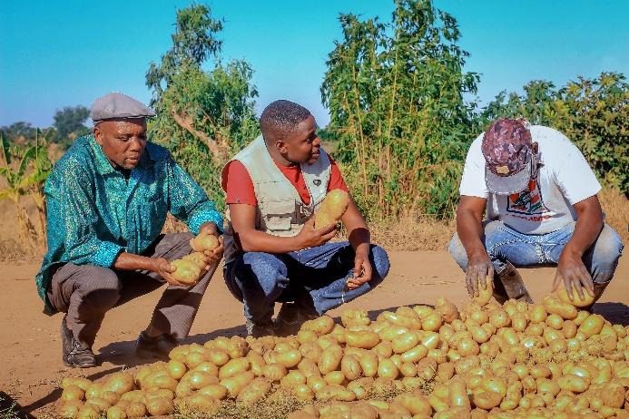 Once worried about his next meal, Prasl farmer now grows 30 tons of potatoes per hectare and employs 25